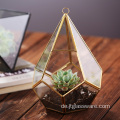 Heißes verkaufendes Diamantform-Glaspflanzen-Terrarium geometrisch